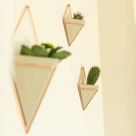 Viesthouse فندق مبيت وإفطار